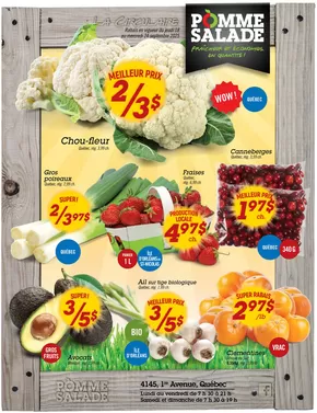 Pomme Salade catalogue in Orillia | Discover attractive offers | 2025-09-18T00:00:00.000Z - 2025-09-24T00:00:00.000Z