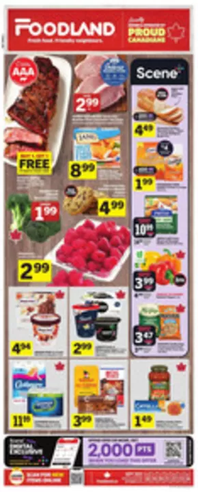 Special promotion 