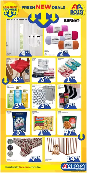 Rossy catalogue in Dartmouth | Top offers for all bargain hunters | 2025-09-24T00:00:00.000Z - 2025-10-29T00:00:00.000Z