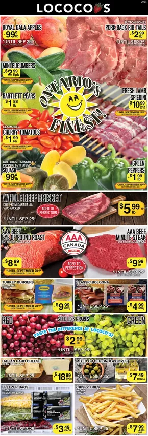 Lococos catalogue in Leduc | Top offers for smart savers | 2025-10-07T00:00:00.000Z - 2025-10-21T00:00:00.000Z