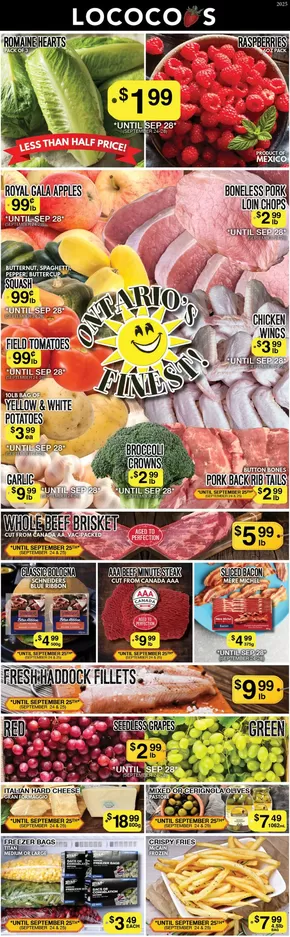 Lococos catalogue in Kamloops | Save now with our deals | 2025-10-12T00:00:00.000Z - 2025-10-26T00:00:00.000Z