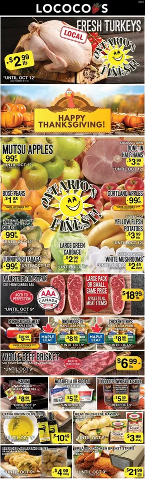Lococos catalogue | Great offer for bargain hunters | 2025-10-13T00:00:00.000Z - 2025-10-27T00:00:00.000Z