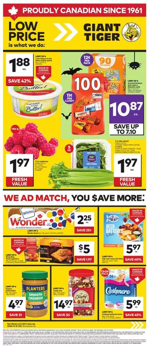 Giant Tiger catalogue in St. Catharines | Our best bargains | 2025-10-22T00:00:00.000Z - 2025-10-28T00:00:00.000Z