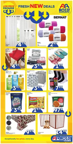 Rossy catalogue in Hamilton | Wide range of offers | 2025-09-25T00:00:00.000Z - 2025-10-29T00:00:00.000Z