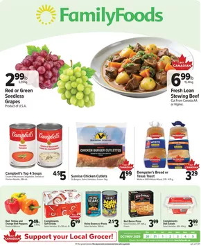 Family Foods catalogue in Redvers | Our best deals for you | 2025-10-30T00:00:00.000Z - 2025-11-13T00:00:00.000Z