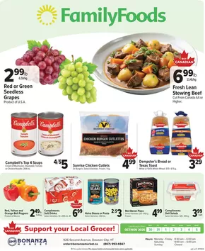 Family Foods catalogue in Thunder Bay | Discover attractive offers | 2025-10-30T00:00:00.000Z - 2025-11-13T00:00:00.000Z