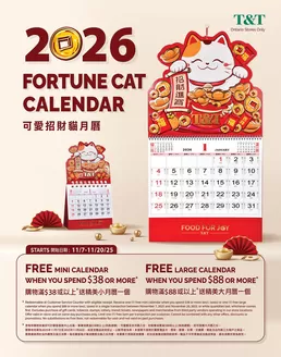 T&T Supermarket catalogue in Mississauga | Discounts and promotions | 2025-11-07T00:00:00.000Z - 2025-11-20T00:00:00.000Z