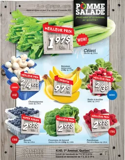 Pomme Salade catalogue in Ottawa | Circular valid from 20 to 26 November 2025 | 2025-11-20T00:00:00.000Z - 2025-11-26T00:00:00.000Z