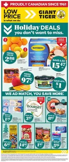 Giant Tiger catalogue in Kitchener | Our best deals for you | 2025-12-03T00:00:00.000Z - 2025-12-09T00:00:00.000Z