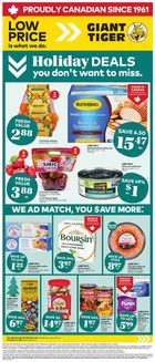 Giant Tiger catalogue in Saskatoon | Our best deals for you | 2025-12-03T00:00:00.000Z - 2025-12-09T00:00:00.000Z