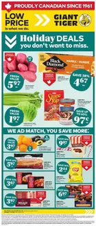 Giant Tiger catalogue in Fort Frances | Wide range of offers | 2025-12-10T00:00:00.000Z - 2025-12-16T00:00:00.000Z