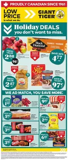 Giant Tiger catalogue | Wide range of offers | 2025-12-10T00:00:00.000Z - 2025-12-16T00:00:00.000Z