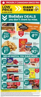Giant Tiger catalogue in Fort Frances | New offers to discover | 2025-12-10T00:00:00.000Z - 2025-12-16T00:00:00.000Z