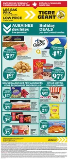 Giant Tiger catalogue in Fort Frances | Attractive special offers for everyone | 2025-12-10T00:00:00.000Z - 2025-12-16T00:00:00.000Z