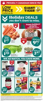 Giant Tiger catalogue in Houston | Our best deals for you | 2025-12-17T00:00:00.000Z - 2025-12-24T00:00:00.000Z