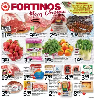 Fortinos catalogue in Mont-Saint-Hilaire | Fortinos weekly flyer | 2025-12-23T00:00:00.000Z - 2025-12-26T00:00:00.000Z