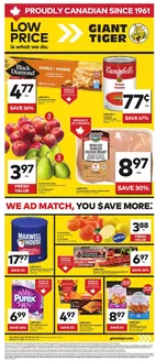 Giant Tiger catalogue in Maidstone | Weekly Flyer | 2026-01-21T00:00:00.000Z - 2026-01-27T00:00:00.000Z