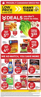 Giant Tiger catalogue in Kitchener | Weekly Flyer | 2026-01-28T00:00:00.000Z - 2026-02-03T00:00:00.000Z