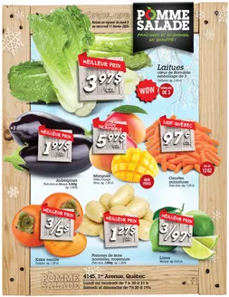 Pomme Salade catalogue in Ottawa | Special offers for you | 2026-02-05T00:00:00.000Z - 2026-02-11T00:00:00.000Z