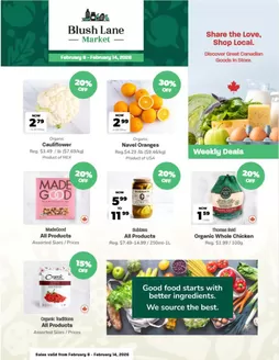 Blush Lane catalogue in Niagara Falls | Weekly flyer  | 2026-02-09T00:00:00.000Z - 2026-02-14T00:00:00.000Z