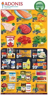 Marché Adonis catalogue in Clarence-Rockland ON | Our best bargains | 2026-02-12T00:00:00.000Z - 2026-02-18T00:00:00.000Z