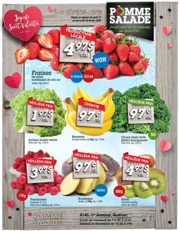 Pomme Salade catalogue in North Battleford | Joyeuse Saint-Valentin | 2026-02-12T00:00:00.000Z - 2026-02-18T00:00:00.000Z