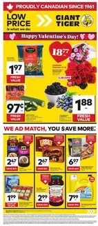 Giant Tiger catalogue in Antigonish | Great offer for bargain hunters | 2026-02-11T00:00:00.000Z - 2026-02-17T00:00:00.000Z