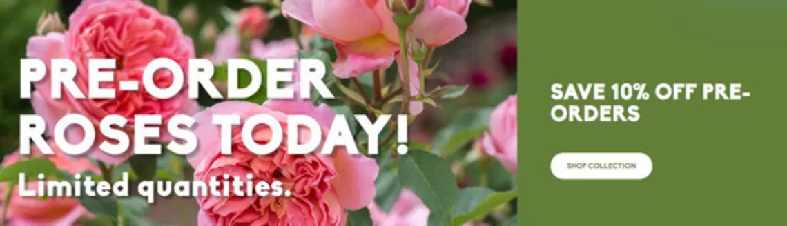 Sheridan Nurseries catalogue | Buy one get one 50 % off  | 2026-03-13T00:00:00.000Z - 2026-03-29T00:00:00.000Z