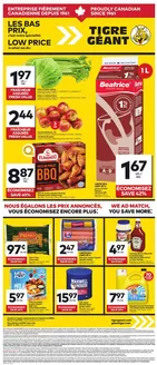 Giant Tiger catalogue in Quebec | Top offers for smart savers | 2026-04-08T00:00:00.000Z - 2026-04-14T00:00:00.000Z