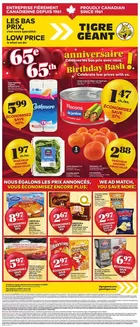 Giant Tiger catalogue | Great offer for bargain hunters | 2026-04-22T00:00:00.000Z - 2026-04-28T00:00:00.000Z