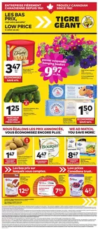 Giant Tiger catalogue in Hamilton | Discover attractive offers | 2026-05-06T00:00:00.000Z - 2026-05-12T00:00:00.000Z