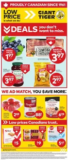 Giant Tiger catalogue | Attractive special offers for everyone | 2026-05-27T00:00:00.000Z - 2026-06-02T00:00:00.000Z