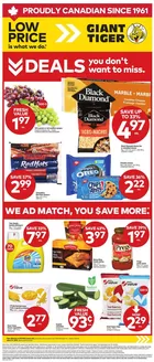 Giant Tiger catalogue in La Broquerie | Top deals and discounts | 2026-06-03T00:00:00.000Z - 2026-06-09T00:00:00.000Z