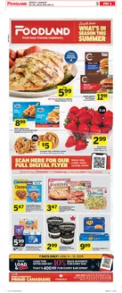 Foodland catalogue | Weekly Flyer  | 2026-06-04T00:00:00.000Z - 2026-06-10T00:00:00.000Z