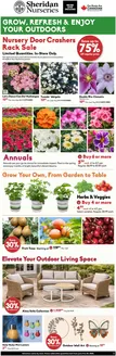 Sheridan Nurseries catalogue | Save up to 75% off regular price | 2026-06-05T00:00:00.000Z - 2026-06-10T00:00:00.000Z