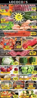 Lococos catalogue | Our best bargains | 2026-06-03T00:00:00.000Z - 2026-06-09T00:00:00.000Z