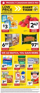 Giant Tiger catalogue | Current special promotions | 2026-06-10T00:00:00.000Z - 2026-06-16T00:00:00.000Z