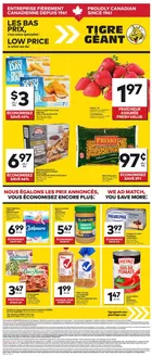 Giant Tiger catalogue | Special offers for you | 2026-06-10T00:00:00.000Z - 2026-06-16T00:00:00.000Z