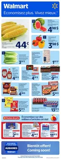 Walmart catalogue | Offers for bargain hunters | 2026-06-11T00:00:00.000Z - 2026-07-01T00:00:00.000Z