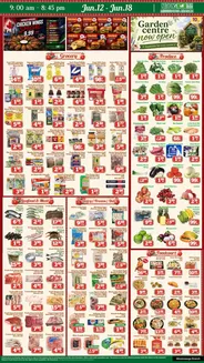 Nations Fresh Foods catalogue | Enjoy Special deals everyday | 2026-06-12T00:00:00.000Z - 2026-06-18T00:00:00.000Z