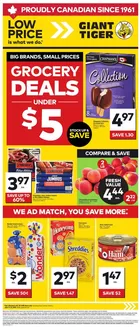 Giant Tiger catalogue | Weekly Flyer | 2026-06-17T00:00:00.000Z - 2026-06-23T00:00:00.000Z