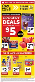 Giant Tiger catalogue | Top offers for smart savers | 2026-06-17T00:00:00.000Z - 2026-06-23T00:00:00.000Z