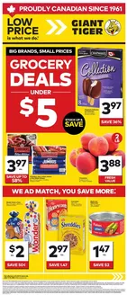 Giant Tiger catalogue in New Minas | Top offers for smart savers | 2026-06-17T00:00:00.000Z - 2026-06-23T00:00:00.000Z