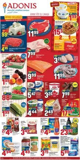 Marché Adonis catalogue | Discounts and promotions | 2026-06-25T00:00:00.000Z - 2026-07-01T00:00:00.000Z