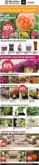 Sheridan Nurseries catalogue in Buckingham | Save 30% off regular price | 2026-06-29T00:00:00.000Z - 2026-07-01T00:00:00.000Z