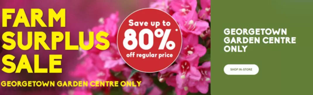 Sheridan Nurseries catalogue | Save up to 80 % off  | 2026-07-13T00:00:00.000Z - 2026-08-02T00:00:00.000Z