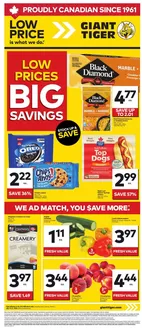 Giant Tiger catalogue | Weekly Flyer | 2026-07-15T00:00:00.000Z - 2026-07-21T00:00:00.000Z