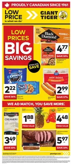 Giant Tiger catalogue | Wide range of offers | 2026-07-15T00:00:00.000Z - 2026-07-21T00:00:00.000Z