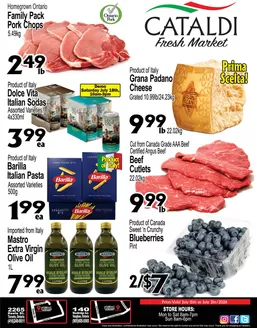 Cataldi catalogue | Weekly flyer | 2026-07-16T00:00:00.000Z - 2026-07-21T00:00:00.000Z