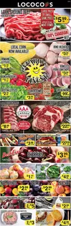 Lococos catalogue | Lococos Weekly ad | 2026-07-17T00:00:00.000Z - 2026-07-23T00:00:00.000Z